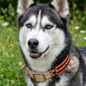 Handmade Neon Orange and Reflective Black Paracord Dog Collar